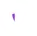 Secure Icon
